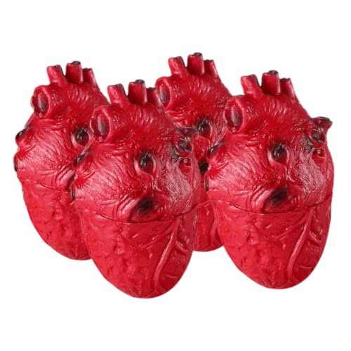 ifundom 4 Stück Teiliges Halloween Blutiges Herz Realistische Menschliche Organsimulation Gruselige Zombie Party Deko für Innen Außen Wiederverwendbar Detailreich Gestaltet von ifundom