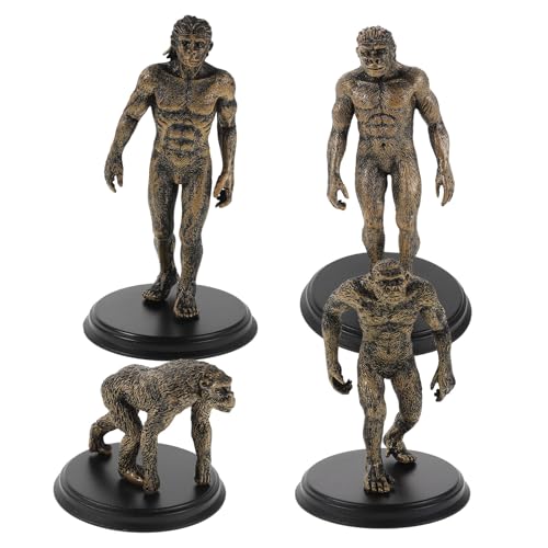 ifundom 4-teilige Figuren zur primitiven menschlichen Evolution: Menschliche Modelle aus Kunststoff für den Unterricht und den Heimgebrauch – stimulieren das Interesse der Kinder an der Geschichte von ifundom