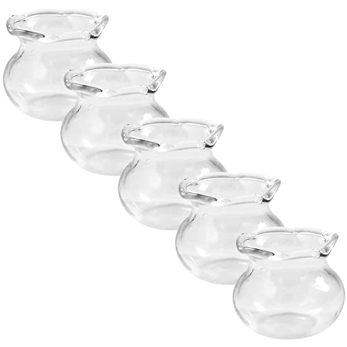 ifundom Miniatur-Aquarium-Set Aus Glas Spielzeug für Jungen und Mädchen Desktop-Aquarium- ifundom Miniatur-Aquarium-Set Aus Glas Spielzeug für Jungen und Mädchen Desktop-Aquarium- von ifundom