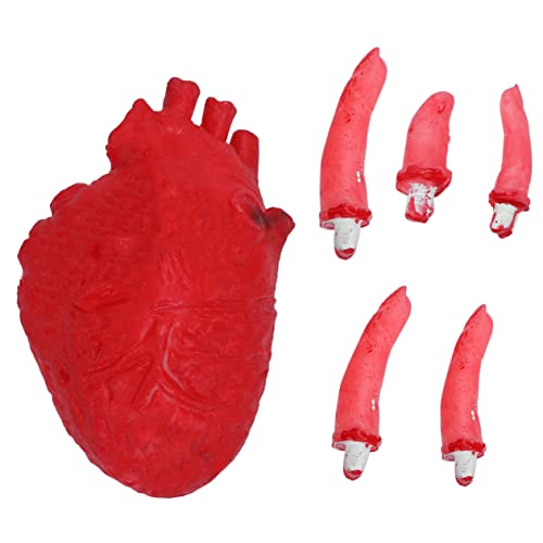 ifundom 6 Stück 1 Satz Halloween-Herz-Requisite Halloween-Requisiten Dekoration Halloween Herz Halloween- Streich Modell Anatomie Halloween -Dekorationen Orgel Requisiten von ifundom