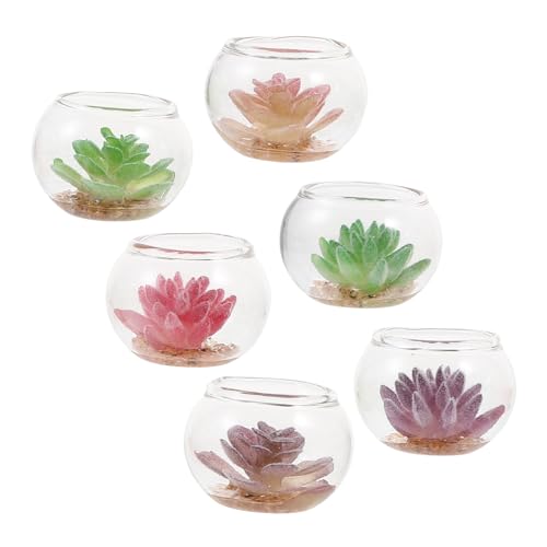 ifundom 6 Stück Mini-pflanztöpfe Mini-topfpflanzenmodell Künstlich Dekorativ Miniatur Anlage Dollhouse Flower Bonsai Eingetopft Kleine Kunstpflanzen Gefälscht Kleiner Bonsai PVC ifundom 6 Stück Mini-pflanztöpfe Mini-topfpflanzenmodell Künstlich Dekorativ Miniatur Anlage Dollhouse Flower Bonsai Eingetopft Kleine Kunstpflanzen Gefälscht Kleiner Bonsai PVC von ifundom