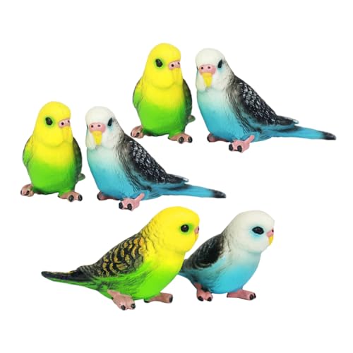 ifundom 6 Stück Teiliges Realistische Papageienmodelle Detailgetreue Vogelspielzeug Figuren aus Robustem Kunststoff Kindgerechte Glatte Oberfläche Lebensechte Dekoration für Garten und ifundom 6 Stück Teiliges Realistische Papageienmodelle Detailgetreue Vogelspielzeug Figuren aus Robustem Kunststoff Kindgerechte Glatte Oberfläche Lebensechte Dekoration für Garten und von ifundom
