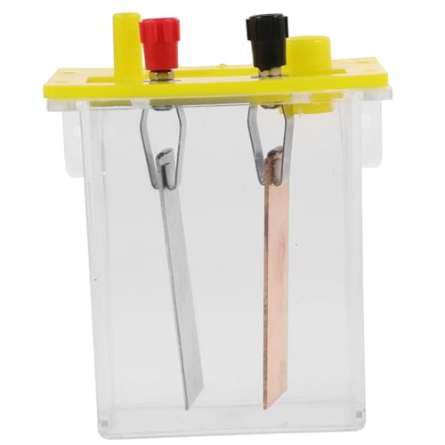 ifundom DIY Fruchtbatterie Experimentierkasten mit Elektrolytlösung batteriebox und Metallplatten Praktisches Physik Experiment für Schüler Fördert Kritisches Denken und von ifundom