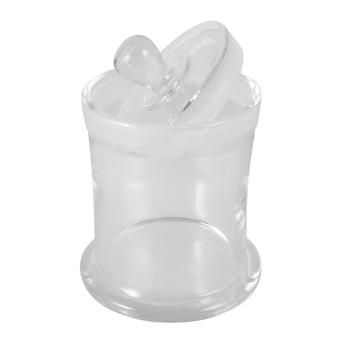 ifundom Färbegefäß Aus Glas Hochwertiges Mikroskop Reifen Schwammbürste Zubehör Filter Kleine Schwammfilter Mikroskop Mit Abdeckung Schwammbürste Färbemikroskop Transparent von ifundom