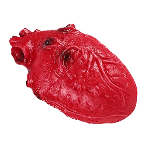 ifundom Fake Heart Prop Halloween Fake Heart Realistischer Menschlicher Kern Für Spukhaus Zombieparty Halloween-Horrorkostüme Und Themendekorationen ifundom Fake Heart Prop Halloween Fake Heart Realistischer Menschlicher Kern Für Spukhaus Zombieparty Halloween-Horrorkostüme Und Themendekorationen von ifundom
