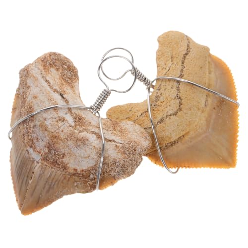 ifundom 2stücke Haifischzahn-anhänger Für Männer Haifischzahn Schmuck Für DIY Ketten Authentische Haifischzähne Für Sammler Und Abenteurer Naturstein Fossilien Anhänger ifundom 2stücke Haifischzahn-anhänger Für Männer Haifischzahn Schmuck Für DIY Ketten Authentische Haifischzähne Für Sammler Und Abenteurer Naturstein Fossilien Anhänger von ifundom