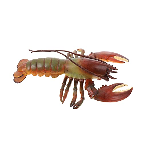 ifundom Hummer-Modell Meereslebewesen-Modell Meerestierspielzeug Für Nachgeahmtes Hummermodell Meereslebewesen Handwerk Simulation Von Tierspielzeug Aquarienverzierung Colorful PVC ifundom Hummer-Modell Meereslebewesen-Modell Meerestierspielzeug Für Nachgeahmtes Hummermodell Meereslebewesen Handwerk Simulation Von Tierspielzeug Aquarienverzierung Colorful PVC von ifundom