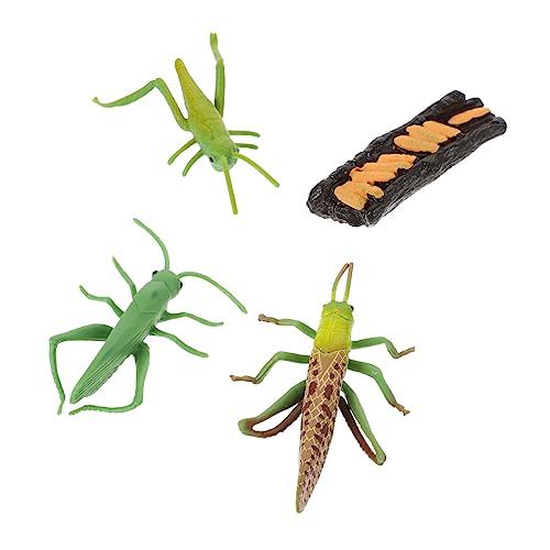 ifundom 1satz Insekten Lebenszyklus Kognitives Spielzeug Für Biologisches Lernen Design Für Dekoration Geeignet Fördert Spielerisches Lernen von ifundom
