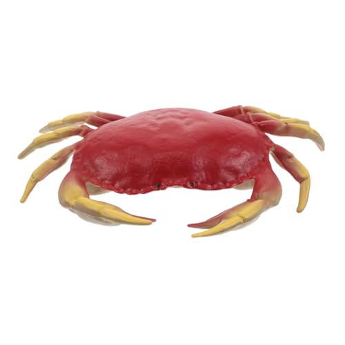 ifundom Krabbenfigur Kleine Meerestierfiguren Künstliche Krabben Modell Meerestiere Für Plastikkrabbenspielzeug Krabbe Künstliche Krabbe Tischkrabbenspielzeug Krabbenornament von ifundom