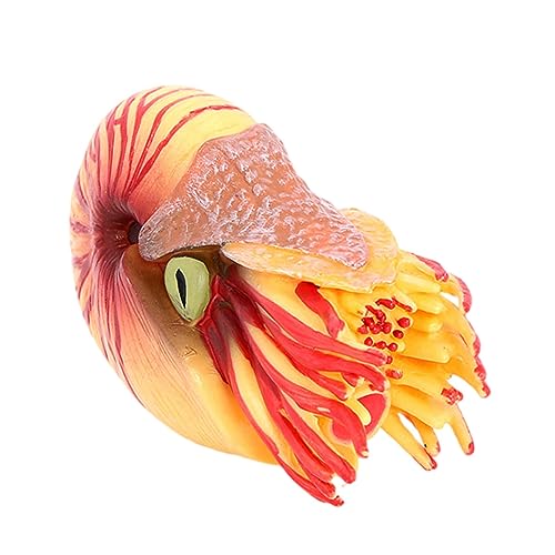 ifundom Künstliches Nautilus Modell aus Kunststoff Realistisches Meeresornament für Aquarien und Fischtanks Fördert die Fantasie der Detailreiche Verarbeitung Robust und Langlebig ifundom Künstliches Nautilus Modell aus Kunststoff Realistisches Meeresornament für Aquarien und Fischtanks Fördert die Fantasie der Detailreiche Verarbeitung Robust und Langlebig von ifundom