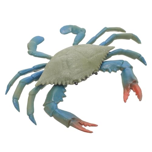 ifundom Künstliches Realistisches Krabbenspielzeug Meereslebensspielzeug Plastikkrabbe Meeresfrüchtespielzeug Rote Krabbe Dekor Tierplanet Meeresspielzeug Pädagogisches Lernspielzeug von ifundom