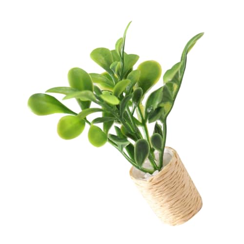 ifundom Mini-Modellbaum Kleiner Garten Kleiner Topf grünpflanze Mini- -Ornament-Miniaturen Ornamente Anlage Pflanzen kunstpflanze Mini-Bonsai-Schmuck winziges Bonsai- Plastik Green ifundom Mini-Modellbaum Kleiner Garten Kleiner Topf grünpflanze Mini- -Ornament-Miniaturen Ornamente Anlage Pflanzen kunstpflanze Mini-Bonsai-Schmuck winziges Bonsai- Plastik Green von ifundom