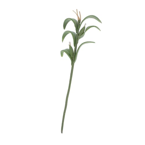 ifundom Miniaturisierte Gartenpflanzen DIY Farmornamente Realistische Pflanzenmodelle für Miniaturgärten und Puppenhäuser für Kreative Bastelprojekte und Dekorationen ifundom Miniaturisierte Gartenpflanzen DIY Farmornamente Realistische Pflanzenmodelle für Miniaturgärten und Puppenhäuser für Kreative Bastelprojekte und Dekorationen von ifundom