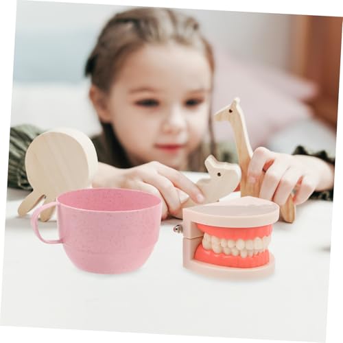 ifundom Montessori Zahnarztspielzeug Set für Realistischem Gebiss und Zahnbürsten Spielerisches Zähneputzen Training Frühkindliche Zahnpflege und Lernspielzeug für Mädchen Kindgerechtes von ifundom