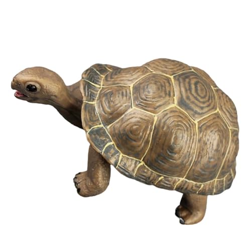 ifundom Plastische Schildkrötenfigur Realistisch Simuliert Robustes Kunststoffmodell Pädagogisches für Dekoratives Desktop Accessoire Geeignet für Schulprojekte und Meeres themedpartys von ifundom