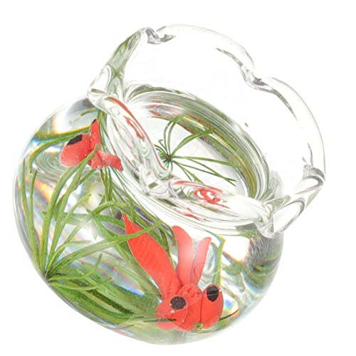 ifundom Puppenhaus Aquarium Mini-hausversorgung Wasserspielzeug Miniatur-puppenhauszubehör Badespielzeug Für Babys Aquarienpflanzen Ente Wanne Fischtankdekor Panzer Transparent Plastik ifundom Puppenhaus Aquarium Mini-hausversorgung Wasserspielzeug Miniatur-puppenhauszubehör Badespielzeug Für Babys Aquarienpflanzen Ente Wanne Fischtankdekor Panzer Transparent Plastik von ifundom