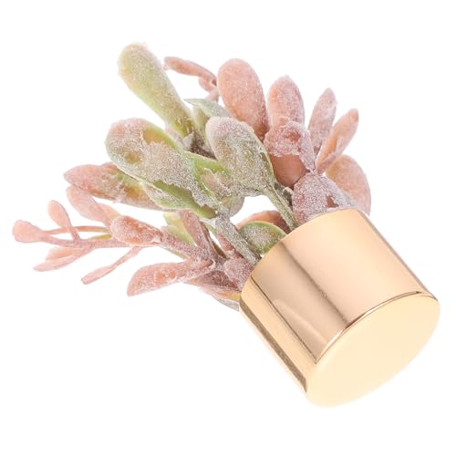 ifundom Puppenhaus Blumentopf Kunstpflanze Ornament Dekoration Kleine Künstliche Pflanzen Für Die Inneneinrichtung Mini Künstliche Sukkulenten Mini Bonsai Requisite ifundom Puppenhaus Blumentopf Kunstpflanze Ornament Dekoration Kleine Künstliche Pflanzen Für Die Inneneinrichtung Mini Künstliche Sukkulenten Mini Bonsai Requisite von ifundom