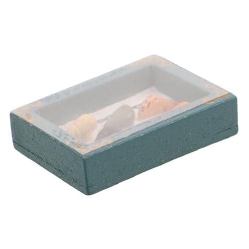 ifundom Miniatur-puppenhauszubehör - Miniatur-bastelset Miniaturen Szenenbox Foto Handgemachte Mini-spielzeugvitrine Grüne Muschelbox ifundom Miniatur-puppenhauszubehör - Miniatur-bastelset Miniaturen Szenenbox Foto Handgemachte Mini-spielzeugvitrine Grüne Muschelbox von ifundom