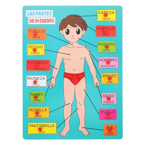 ifundom Puzzles Zum Menschlichen Körper Für Kinder Spanisches Holzkörper-Montessori-Anatomie-Spielset Puzzle Zum Modell des Menschlichen Körpers Für Kinder Im Vorschulalter Und Kinder – von ifundom