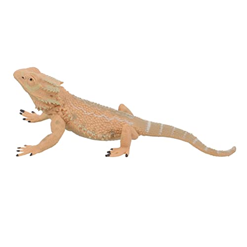 ifundom Plastikg Figur Spielzeug für Kinder Realistische Bartagame Modell Sicheres Reptilien Modell für Zuhause und Schule ifundom Plastikg Figur Spielzeug für Kinder Realistische Bartagame Modell Sicheres Reptilien Modell für Zuhause und Schule von ifundom