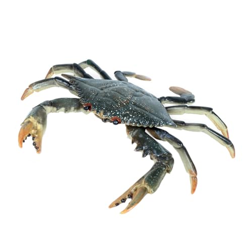 ifundom Realistisches Fischglas Krabbenmodell Tier Figur Aquarium Dekoration Leicht Tragbar Einfach Zu Reinigen Für Aquarienlandschaft Zufällige Farbe Zufällige Farbe ifundom Realistisches Fischglas Krabbenmodell Tier Figur Aquarium Dekoration Leicht Tragbar Einfach Zu Reinigen Für Aquarienlandschaft Zufällige Farbe Zufällige Farbe von ifundom