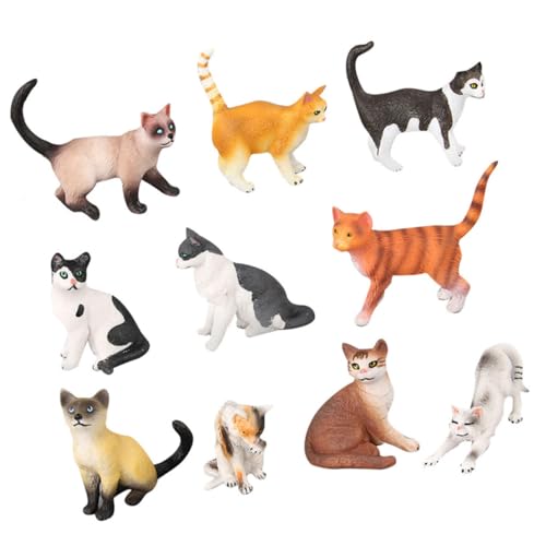 ifundom Realistisches Katzenmodell Teilig Detailgetreue Mini Katzenfiguren für Dekorative Tierornamente für Sammler und Lernspielzeug Geeignet für Katzenliebhaber und Junge Mädchen von ifundom