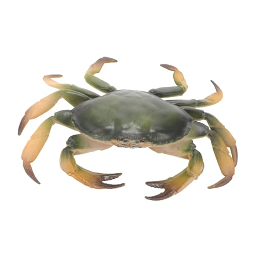 ifundom Realistisches Krabbenmodell aus Dekoratives für Aquarien Kreative Simulation von Meerestieren Lernspielzeug für Freunde Leicht und Kompakt für Vielseitige Deko ifundom Realistisches Krabbenmodell aus Dekoratives für Aquarien Kreative Simulation von Meerestieren Lernspielzeug für Freunde Leicht und Kompakt für Vielseitige Deko von ifundom