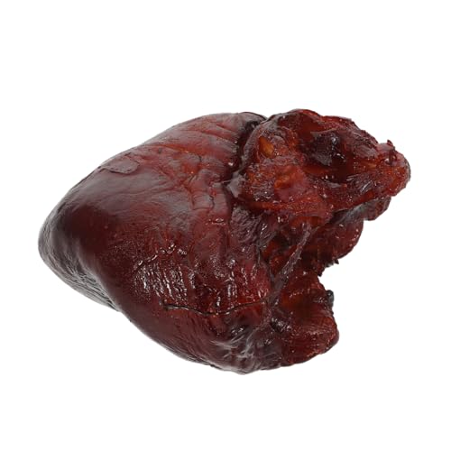 ifundom Realistisches Schweineherz Modell Künstliche Lebensmittelattrappe Detaillierte Fake Herz Dekoration Für Restaurant Fensterdisplay Küchen Deko Vielseitig Langlebig ifundom Realistisches Schweineherz Modell Künstliche Lebensmittelattrappe Detaillierte Fake Herz Dekoration Für Restaurant Fensterdisplay Küchen Deko Vielseitig Langlebig von ifundom