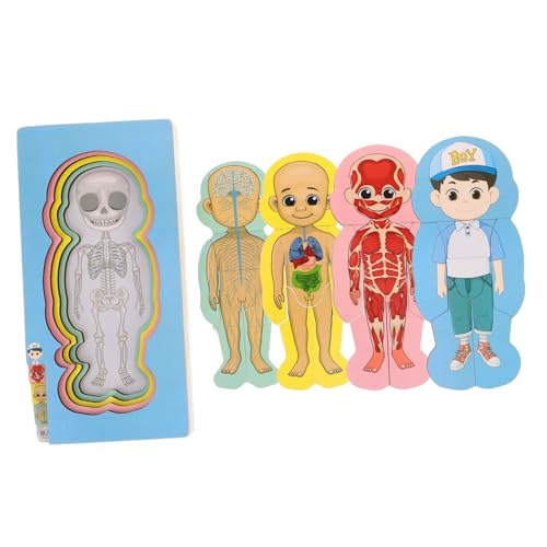 ifundom Menschlicher Körper Puzzle Für Kinder Holzpuzzle-Set Spielzeug Jungen Mädchen Früherziehung Spielzeug von ifundom