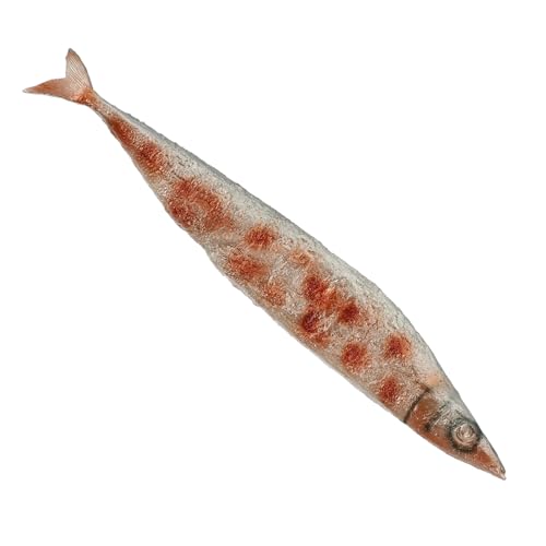 ifundom Saury Adornment Fischmodelle Simulierter Fisch Lebensechtes Fleischdekor Künstlicher Fisch Gefälschter Fisch Künstliche Meeresfrüchtemodelle Kinderspielzeug Angelspielzeug ifundom Saury Adornment Fischmodelle Simulierter Fisch Lebensechtes Fleischdekor Künstlicher Fisch Gefälschter Fisch Künstliche Meeresfrüchtemodelle Kinderspielzeug Angelspielzeug von ifundom