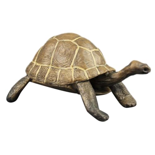 ifundom Simulationsschildkröte für kinderspielzeug Kid Toys pädagogisches Toys for kindergeschenke kinderknallzeug Schildkrötenspielzeug Schildkrötenmodell ifundom Simulationsschildkröte für kinderspielzeug Kid Toys pädagogisches Toys for kindergeschenke kinderknallzeug Schildkrötenspielzeug Schildkrötenmodell von ifundom