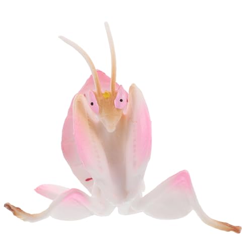 ifundom Realistisches Insektenmodell Aus Kunststoff Für Kinderspielzeug Pädagogische Desktop-Figuren von ifundom