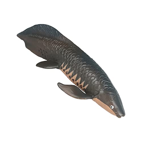 ifundom Simulierter Arapaima kinderzimmerdeko hühner verkleidung eincremehilfe Meerestiermodell- Meerestiere Lernspielzeug für Meerestierspielzeug Plastik von ifundom