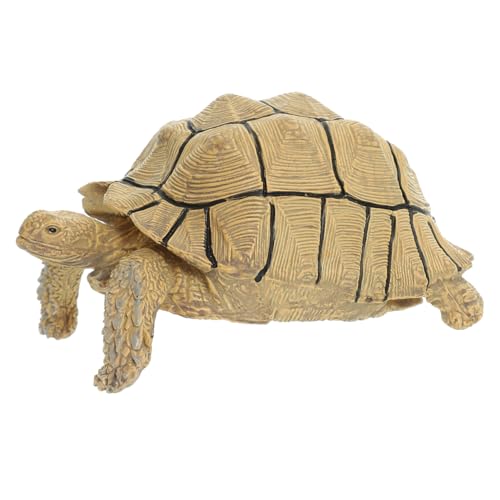 ifundom Schildkröte Figur Modell Realistische Simulation Schildkröte Pädagogisches Kunststoff Spielzeug Für Kinder ifundom Schildkröte Figur Modell Realistische Simulation Schildkröte Pädagogisches Kunststoff Spielzeug Für Kinder von ifundom
