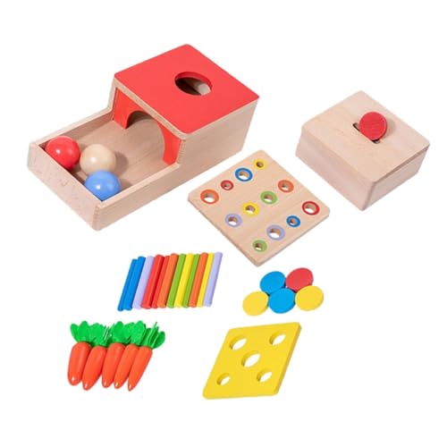 ifundom Spielzeug 1 Set Motorikspielzeug Zur Der Hand Augen Koordination Sortierspiel Für Kleinkinder Lernspielzeug Aus Montessori Inspiriert Für Ab 1 Jahr Montessori-Spielzeug von ifundom