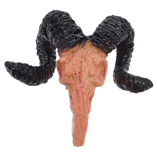 ifundom Tierschädeldekoration Gruselige Puppe winzig gruseliges Tuch Halloween Dekoration Halloween-Dekoration Kreatives Puppenhauszubehör Puppenhaus-Wanddekoration Plastikschädel ifundom Tierschädeldekoration Gruselige Puppe winzig gruseliges Tuch Halloween Dekoration Halloween-Dekoration Kreatives Puppenhauszubehör Puppenhaus-Wanddekoration Plastikschädel von ifundom