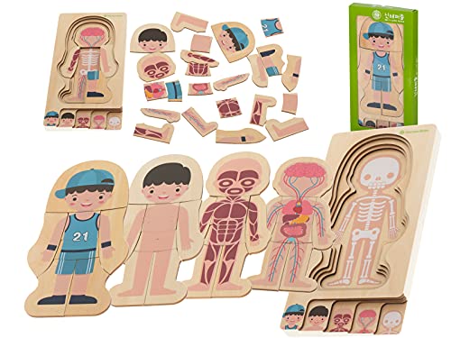 Montessori Holzpuzzle Aufbau Körper Anatomien Mensch Spielbuch Kinder Wissenschaft Biologie 28 Teile menschliches Geheimnis Körper Körper Körper Muskel Muskel Inner Skelett Junge Mädchen (Jungen) von ikonka