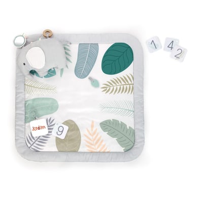 Ingenuity Sprout Spot™ Baby Milestone Aktivitätsmatte von Ingenuity