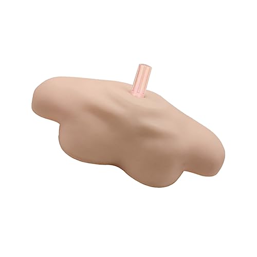 iplusmile Gemeinsame Schulter Für Lehre Dummy Schultergurte Kit Schönheit Salon Display von iplusmile