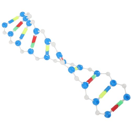iplusmile 2 Packungen DNA-Modelle Doppelhelix Biologische Wissenschaft Pädagogisches Lehrinstrument Spielzeug DNA-Modell DNA-Montage von iplusmile
