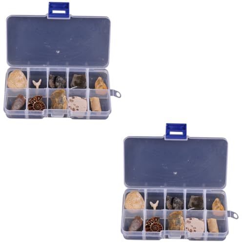 iplusmile 2 Sätze Biologische Fossilien Edelstein-ausgrabungsset Felsen Wissenschaft Natürlicher Bernstein Paläontologie Science-kit Für Trilobit Meereslebewesen 10 Stück * 2 von iplusmile