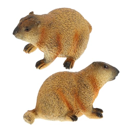 iplusmile 2 Stück Groundhog -Modell Murmeltier-Ornament Miniatur-Murmeltier-Figur Groundhog Craft Murmeltier Dekoration Simulationstiere Plastik iplusmile 2 Stück Groundhog -Modell Murmeltier-Ornament Miniatur-Murmeltier-Figur Groundhog Craft Murmeltier Dekoration Simulationstiere Plastik von iplusmile