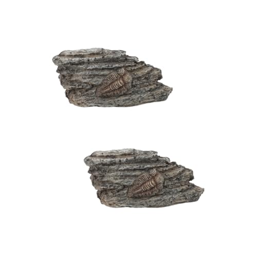 iplusmile 2 Stück fossiles Exemplar mit Haube im Freien Aquarium Gecko Reptil sammeltassen Trilobit-Dekoration aus Harz Trilobit- aus Harz Trilobit zur Abholung Trilobit zur Dekoration von iplusmile