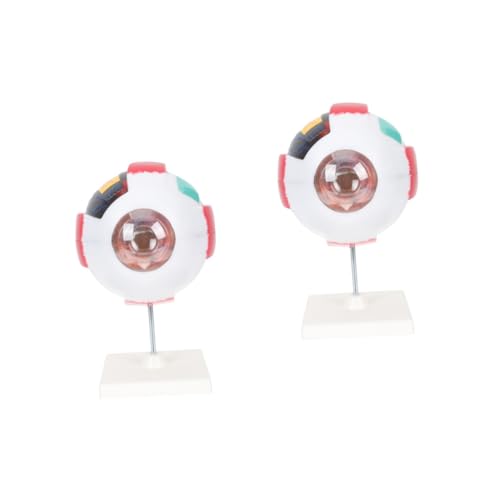 iplusmile 2st Menschliches Auge Modell Augen Vorbau-kits Figur Stielspielzeug Skelettmodell Vergrößertes Augapfelmodell Wissenschaft Anatomiemodell Gehirn Augapfel-anatomie-modell Pvc iplusmile 2st Menschliches Auge Modell Augen Vorbau-kits Figur Stielspielzeug Skelettmodell Vergrößertes Augapfelmodell Wissenschaft Anatomiemodell Gehirn Augapfel-anatomie-modell Pvc von iplusmile
