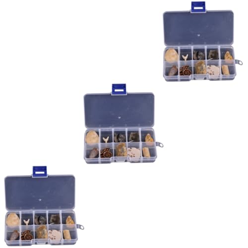 iplusmile 3 Sätze Biologische Fossilien Bernstein Edelstein-ausgrabungsset Dinosaurier Trilobit Stem-wissenschafts-kit Exemplare Erziehungswissenschaftliches Exemplar 10 Stück * 3 iplusmile 3 Sätze Biologische Fossilien Bernstein Edelstein-ausgrabungsset Dinosaurier Trilobit Stem-wissenschafts-kit Exemplare Erziehungswissenschaftliches Exemplar 10 Stück * 3 von iplusmile