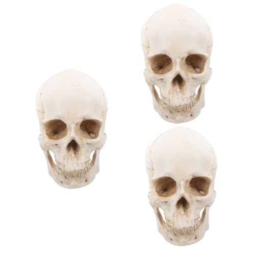 iplusmile 3St Schädel aus Harz Schädelmodell wackeln Accessoires Dekoration für Figur Cooler Reisekoffer tragbar Planke Getränk einstellbar Geschichte Baum Soja abnehmbares Schädelkopfmodell iplusmile 3St Schädel aus Harz Schädelmodell wackeln Accessoires Dekoration für Figur Cooler Reisekoffer tragbar Planke Getränk einstellbar Geschichte Baum Soja abnehmbares Schädelkopfmodell von iplusmile