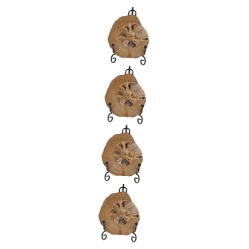 iplusmile 4 Stück Ammonitenfossil Ammonitenmodelle zur Dekoration Schulprojekt Ammonitenmodelle als Ornament unimate uniqone unikal Ammoniten- für Ammoniten-Modelle iplusmile 4 Stück Ammonitenfossil Ammonitenmodelle zur Dekoration Schulprojekt Ammonitenmodelle als Ornament unimate uniqone unikal Ammoniten- für Ammoniten-Modelle von iplusmile