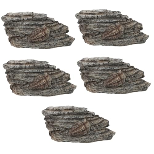 iplusmile 5 Stück Fossiles Exemplar Schildkröte Gecko Reptil Im Freien Mit Haube Treibholz Für Aquarien Aquarium Paläontologischer Trilobit Trilobiten-exemplardekoration Harz von iplusmile