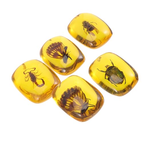 iplusmile 5 Stück Insektenexemplar Exemplar Anhänger Probe Bernstein Muster Anhänger Bernstein Mit Anhänger Aus Harz Juweliermake -anhänger Insektendekor Muster Anhänger Selber Machen Harz. iplusmile 5 Stück Insektenexemplar Exemplar Anhänger Probe Bernstein Muster Anhänger Bernstein Mit Anhänger Aus Harz Juweliermake -anhänger Insektendekor Muster Anhänger Selber Machen Harz. von iplusmile