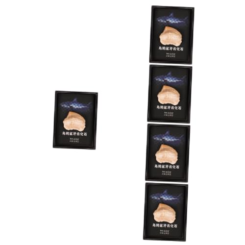 iplusmile 5 Stück Zahnseidenstäbchen Orale Produkte Zahnstocher Fleck Lehrprobe Zahnbürste Zähne Gel Borstenreiniger Zahnpasta Zahnfleischverzierung Natürlich iplusmile 5 Stück Zahnseidenstäbchen Orale Produkte Zahnstocher Fleck Lehrprobe Zahnbürste Zähne Gel Borstenreiniger Zahnpasta Zahnfleischverzierung Natürlich von iplusmile